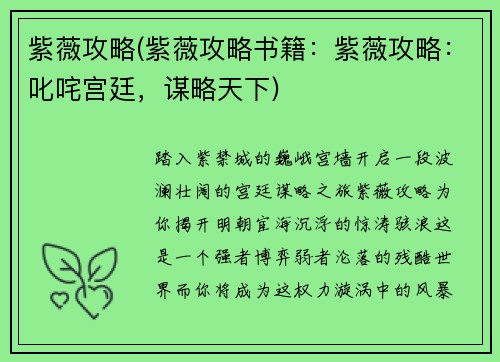 紫薇攻略(紫薇攻略书籍：紫薇攻略：叱咤宫廷，谋略天下)